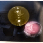 Photopolymer print by Angela Mellen; photo by Richard Kaby