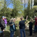 Guided river walk at Batford Springs, for Watershed