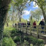 Watershed's guided river walk at Batford Springs.