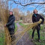 Angela Mellen and Liz Sergeant harvesting willow at Batford Springs, late winter 2026